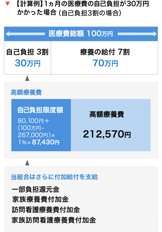 1ヶ月の医療費の自己負担が30万円かかった場合の計算例